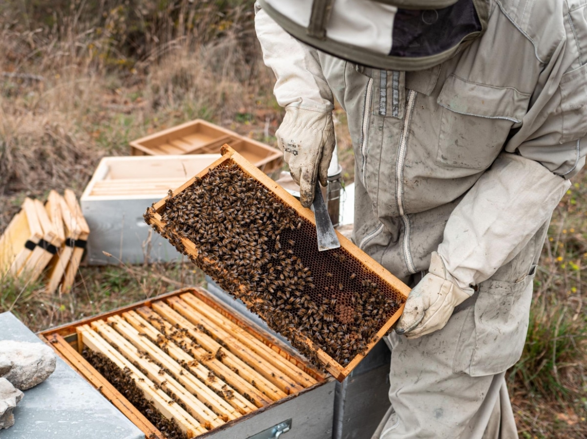 Maisons-Pariente-excellence-durable